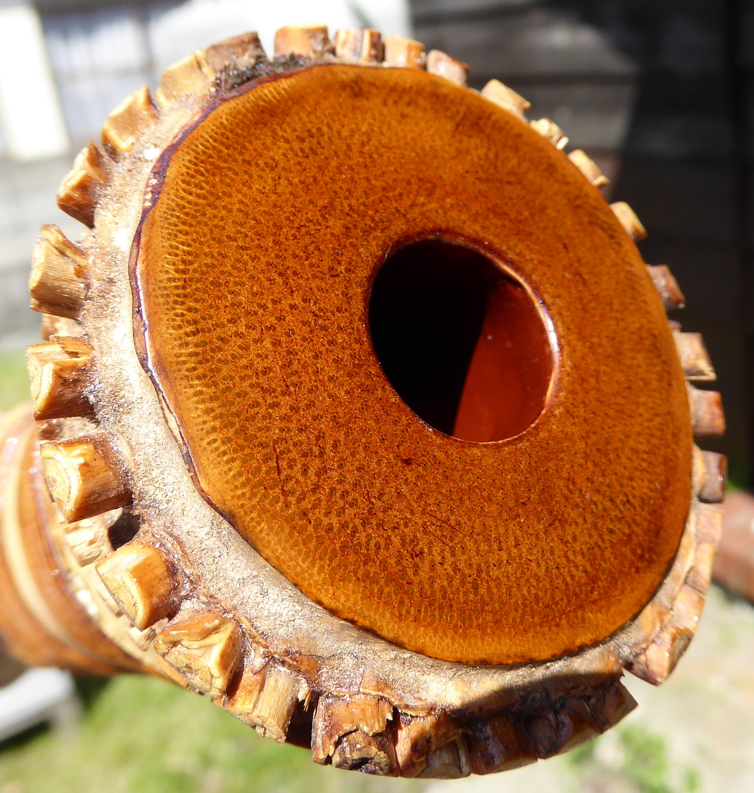 Shakuhachi